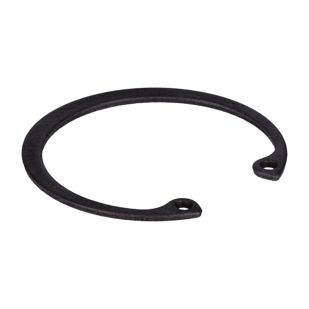 Retaining ring, generator bearing