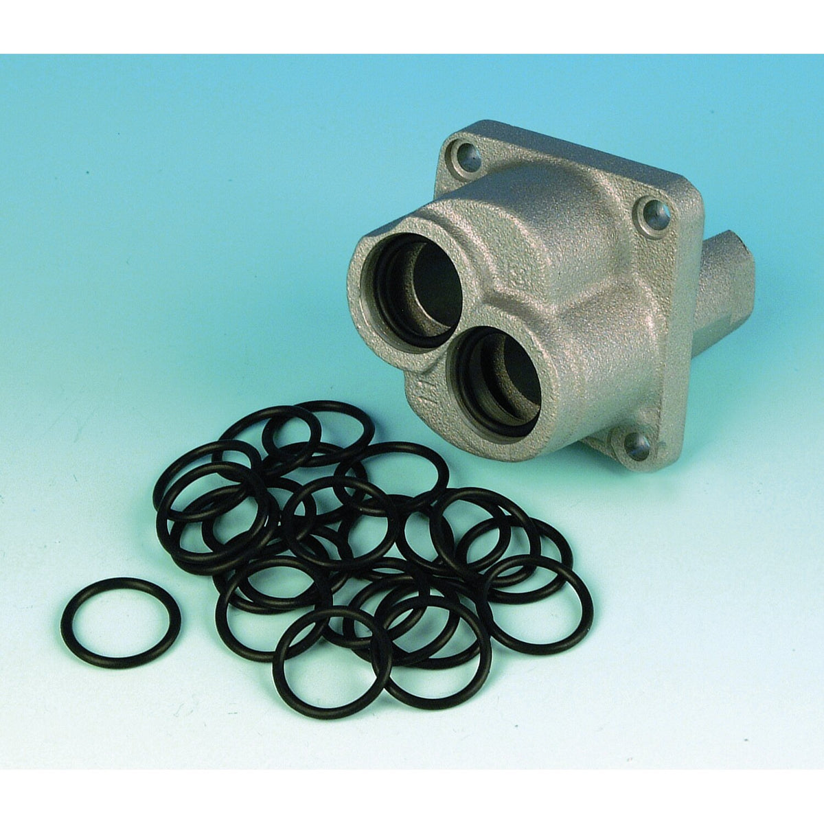 James, pushrod cover O-ring. Lower