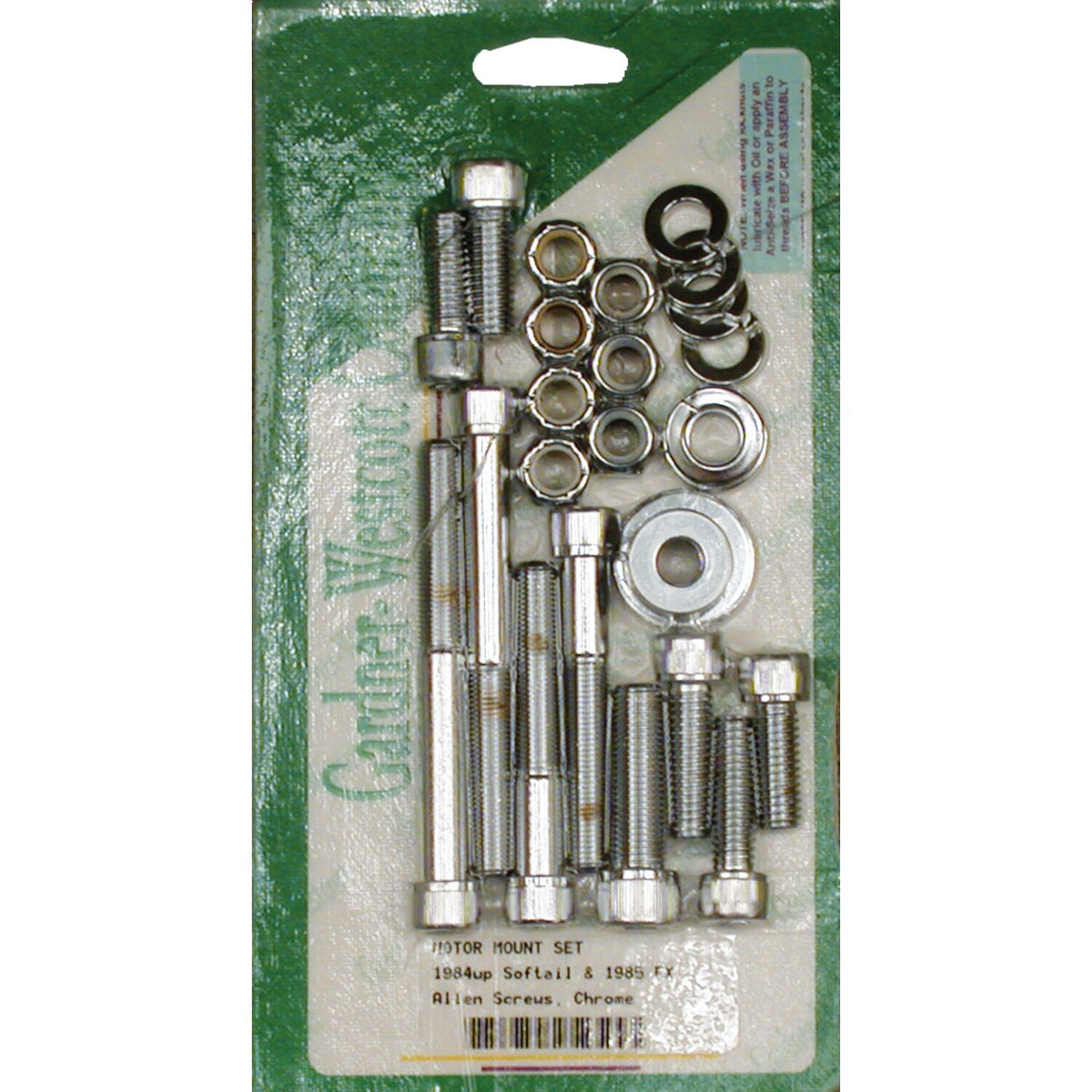Motor mount screw kit, allen