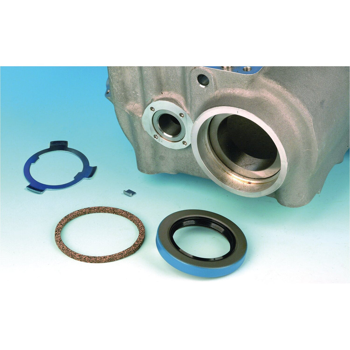 James, oil seal transmission mainshaft. Double lip
