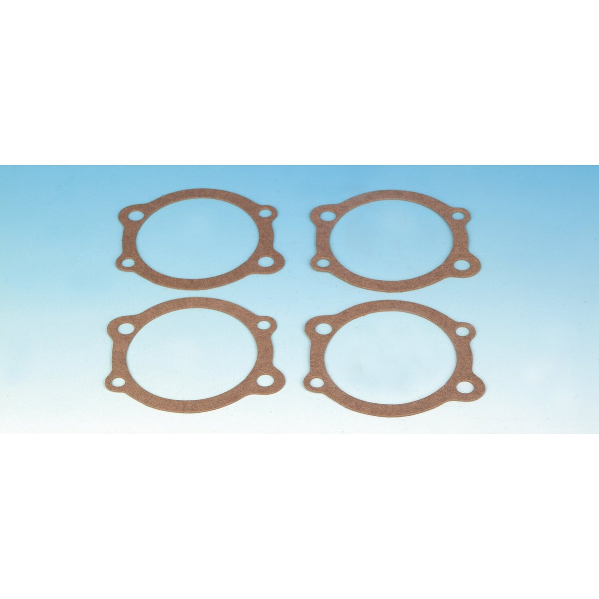 James, magneto crankcase plate gasket