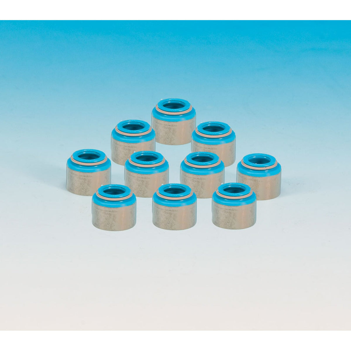 James, valve guide seal set. 10-pk. Viton