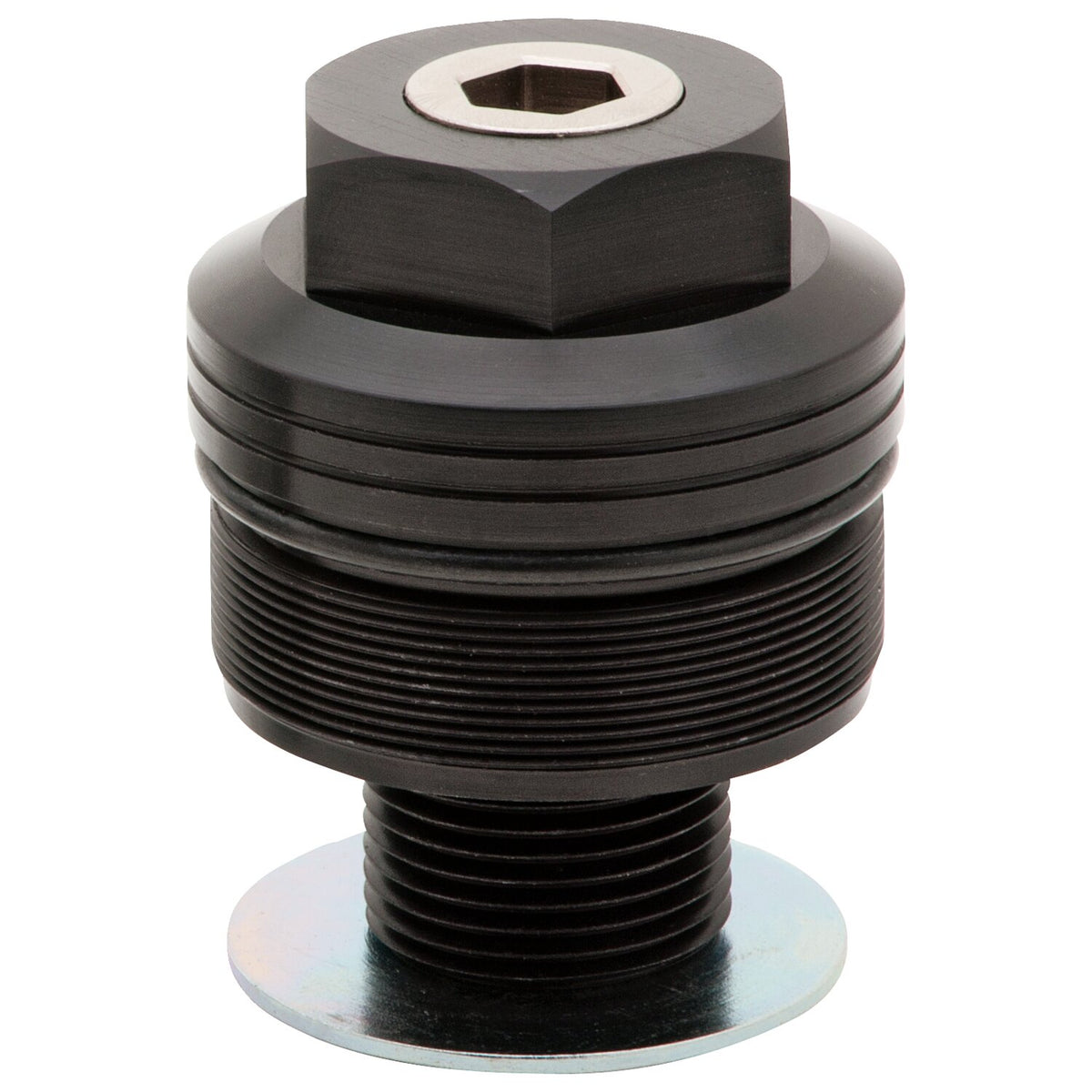 Burly, 49mm fork spring preload adjusters. Black anodized