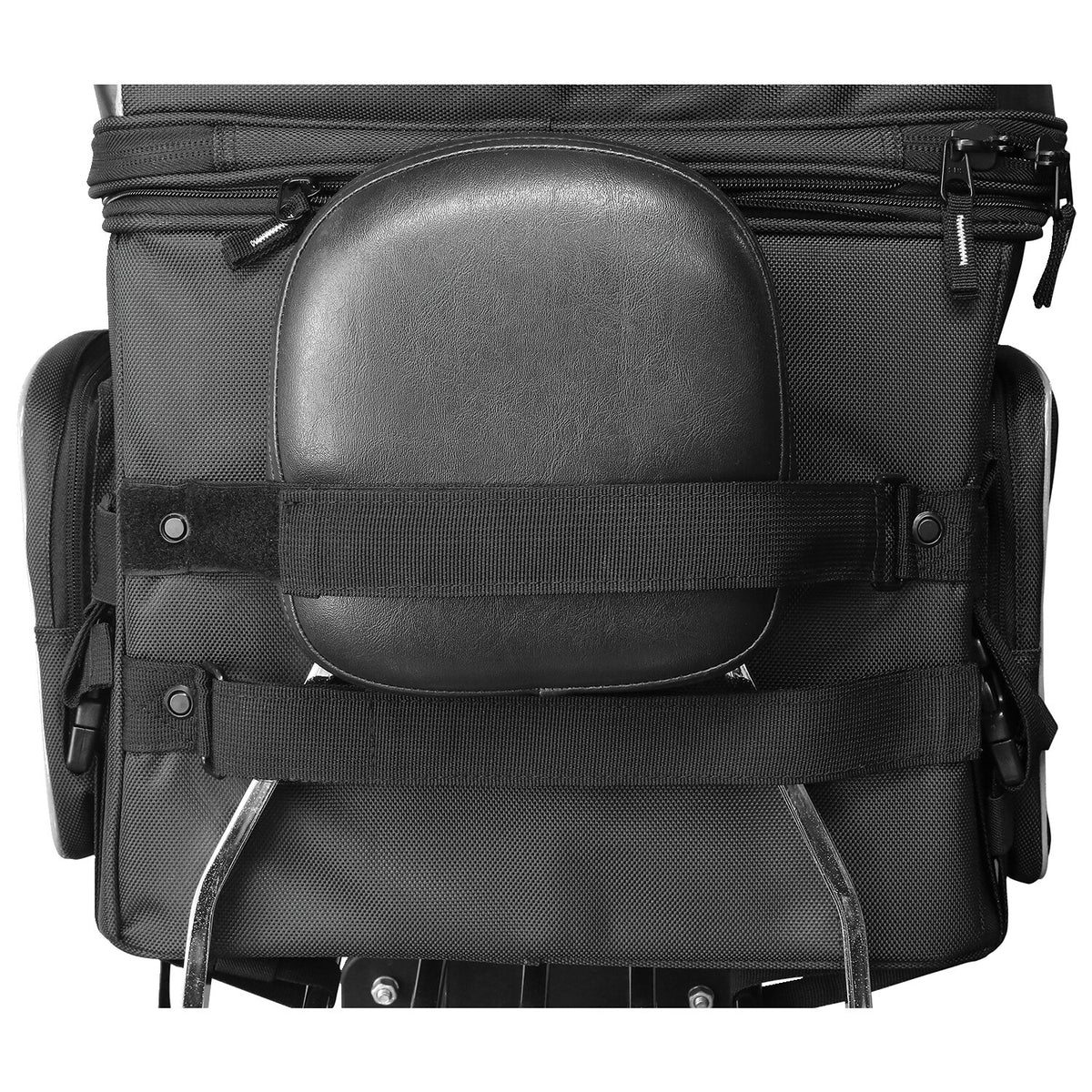 Nelson Rigg, Route 1 Rover pet carrier black