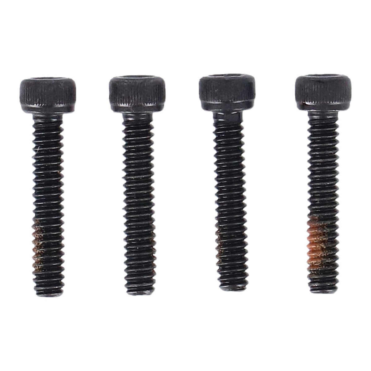 Cycle Electric, Alternator stator unmolded