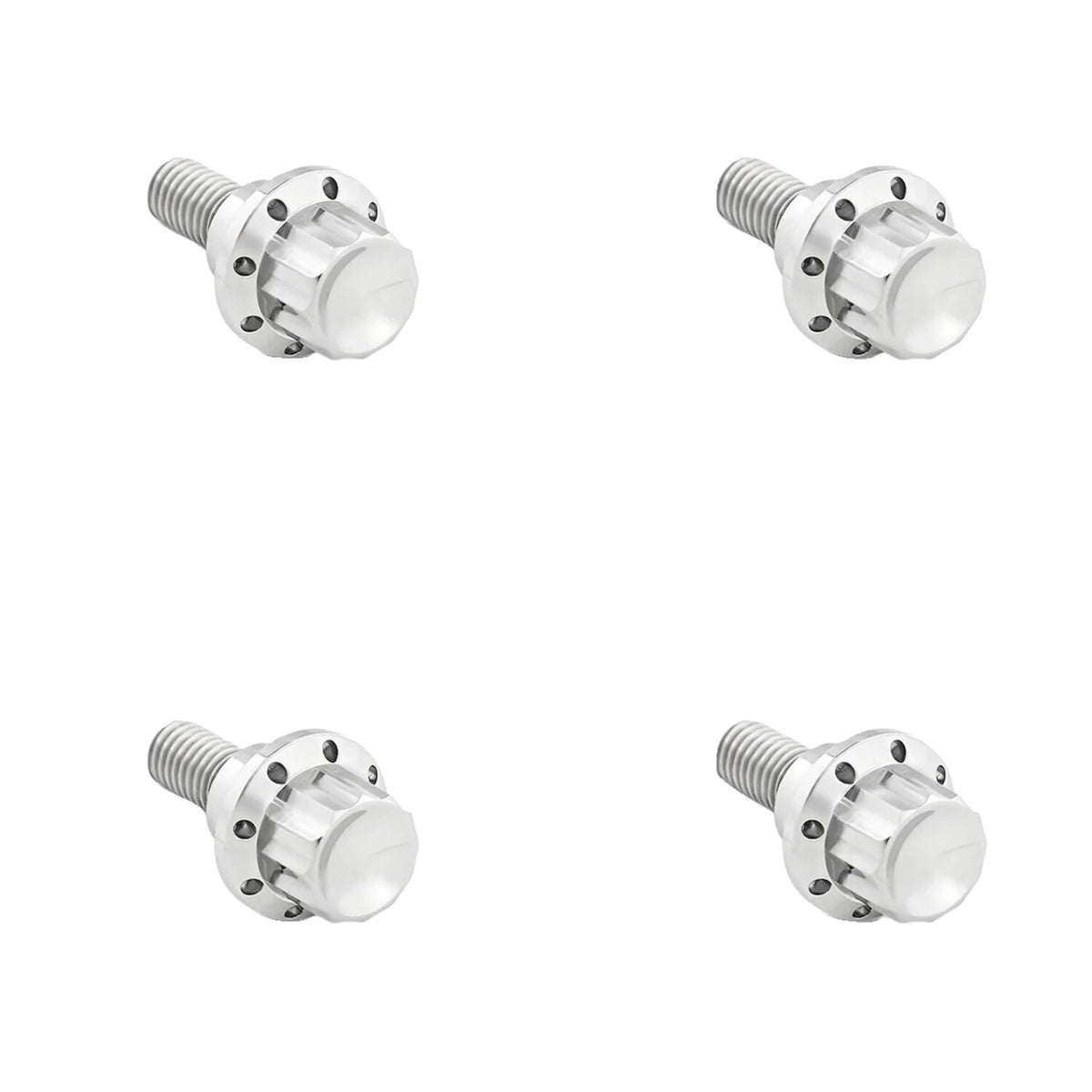 Arlen Ness, titanium 12-point windshield bolt kit. Polished