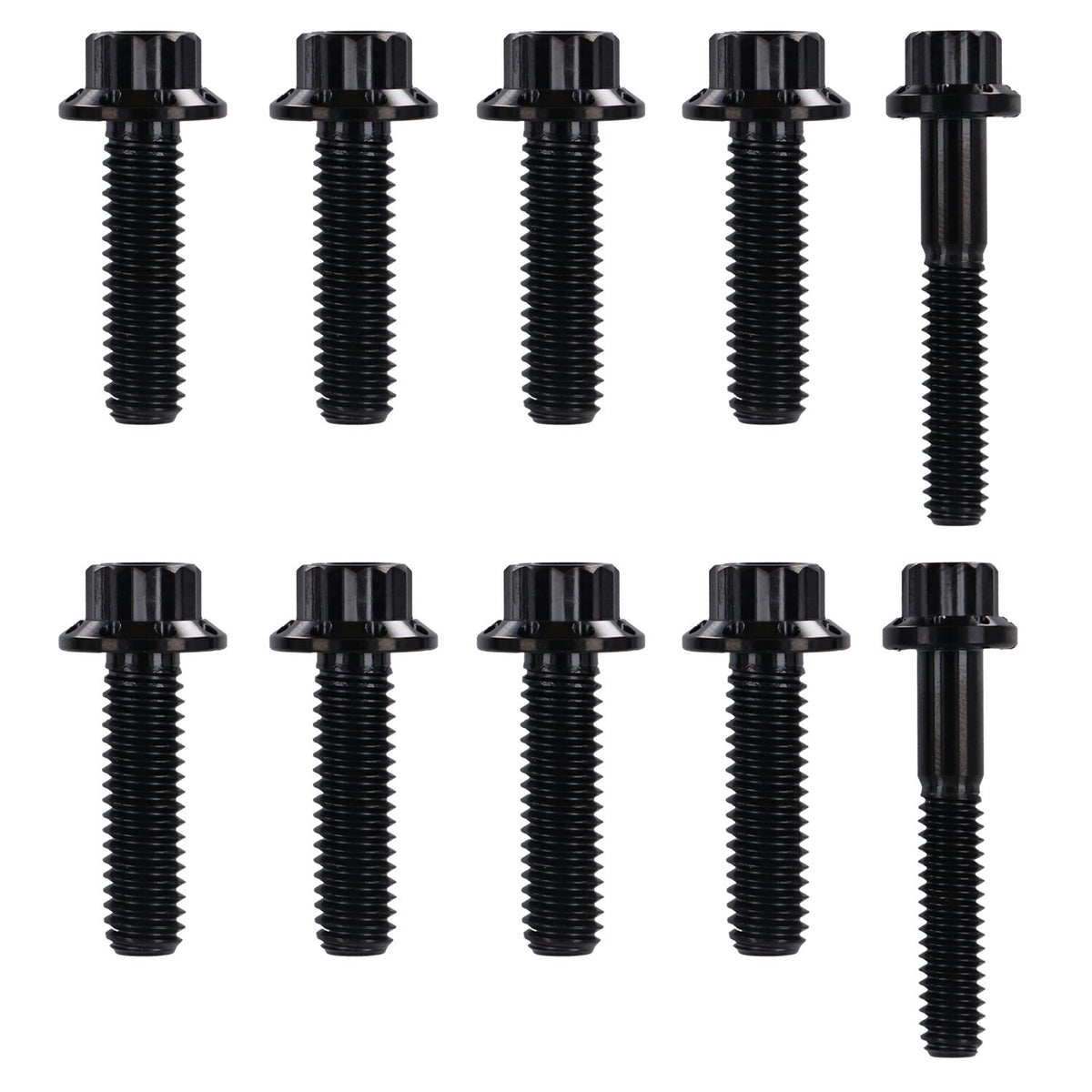 Arlen Ness, transm. side cover & trap door 12-point bolt kit