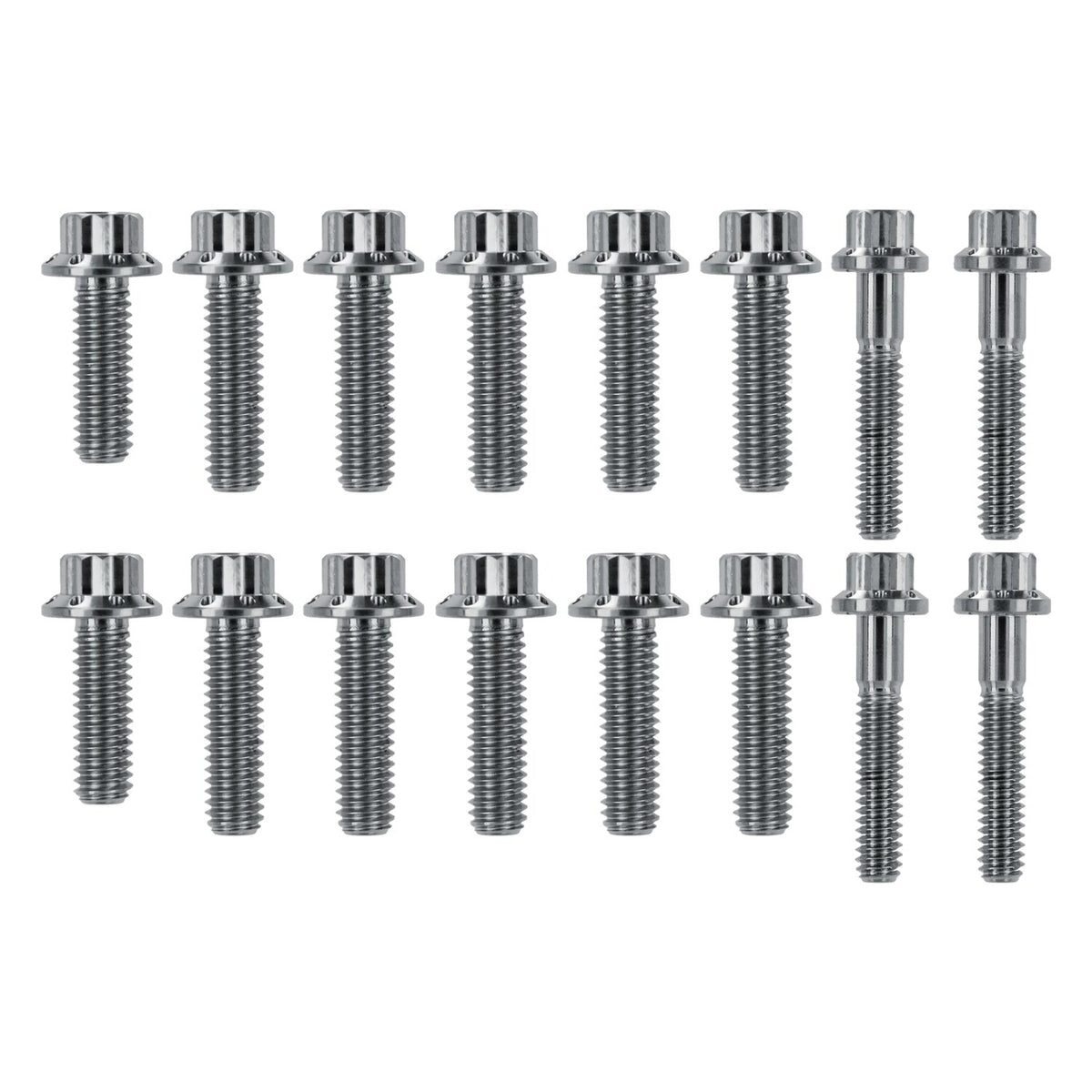Arlen Ness, transm. side cover & trap door 12-point bolt kit