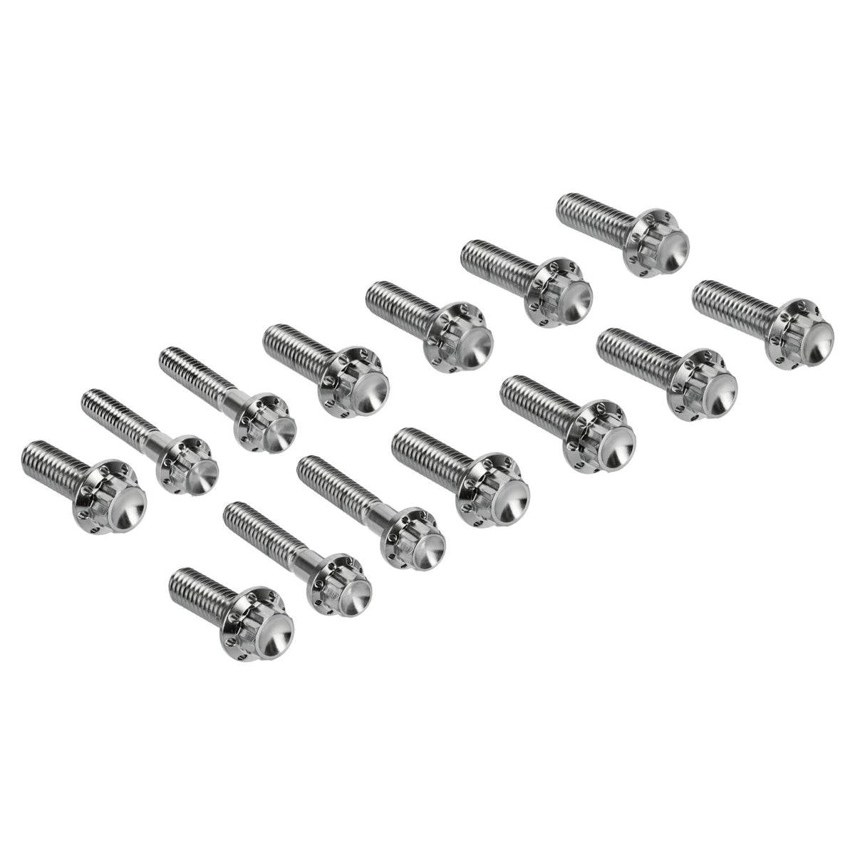 Arlen Ness, transm. side cover & trap door 12-point bolt kit