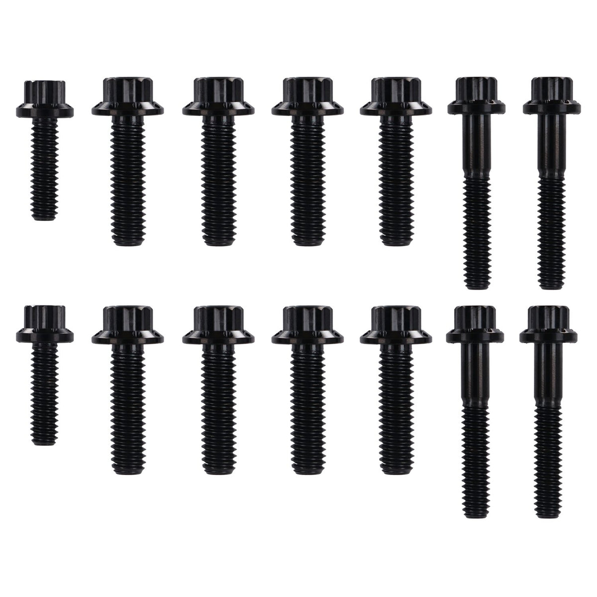 Arlen Ness, transm. side cover & trap door 12-point bolt kit