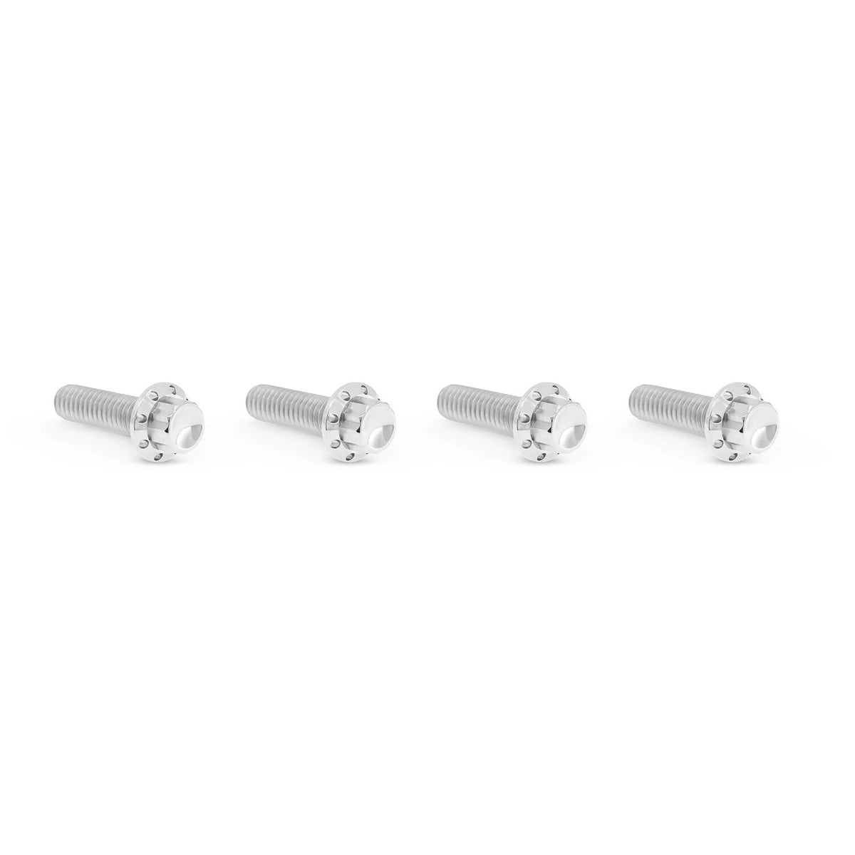 Arlen Ness, titanium 12-point transm. top cover bolts. Pol.