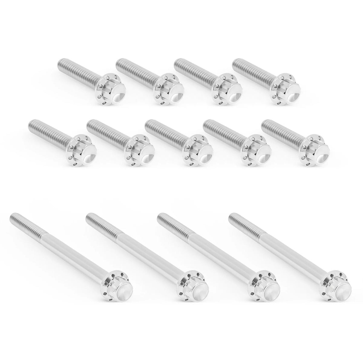 Arlen Ness, titanium 12-point primary cover bolt kit. Polish
