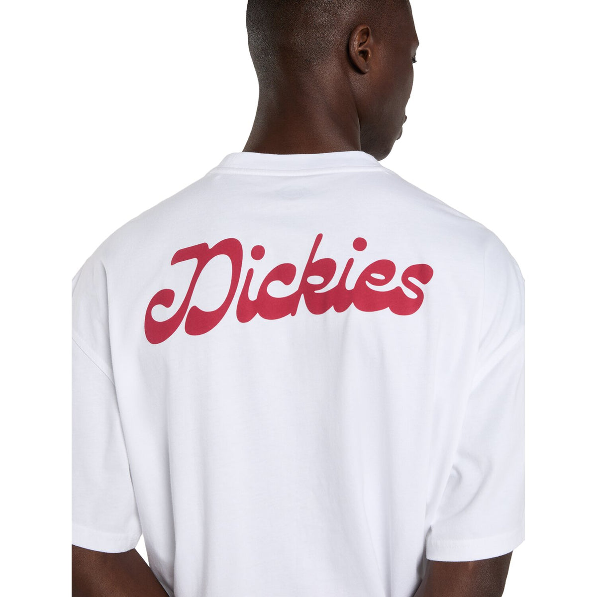 Dickies Cornville t-shirt white