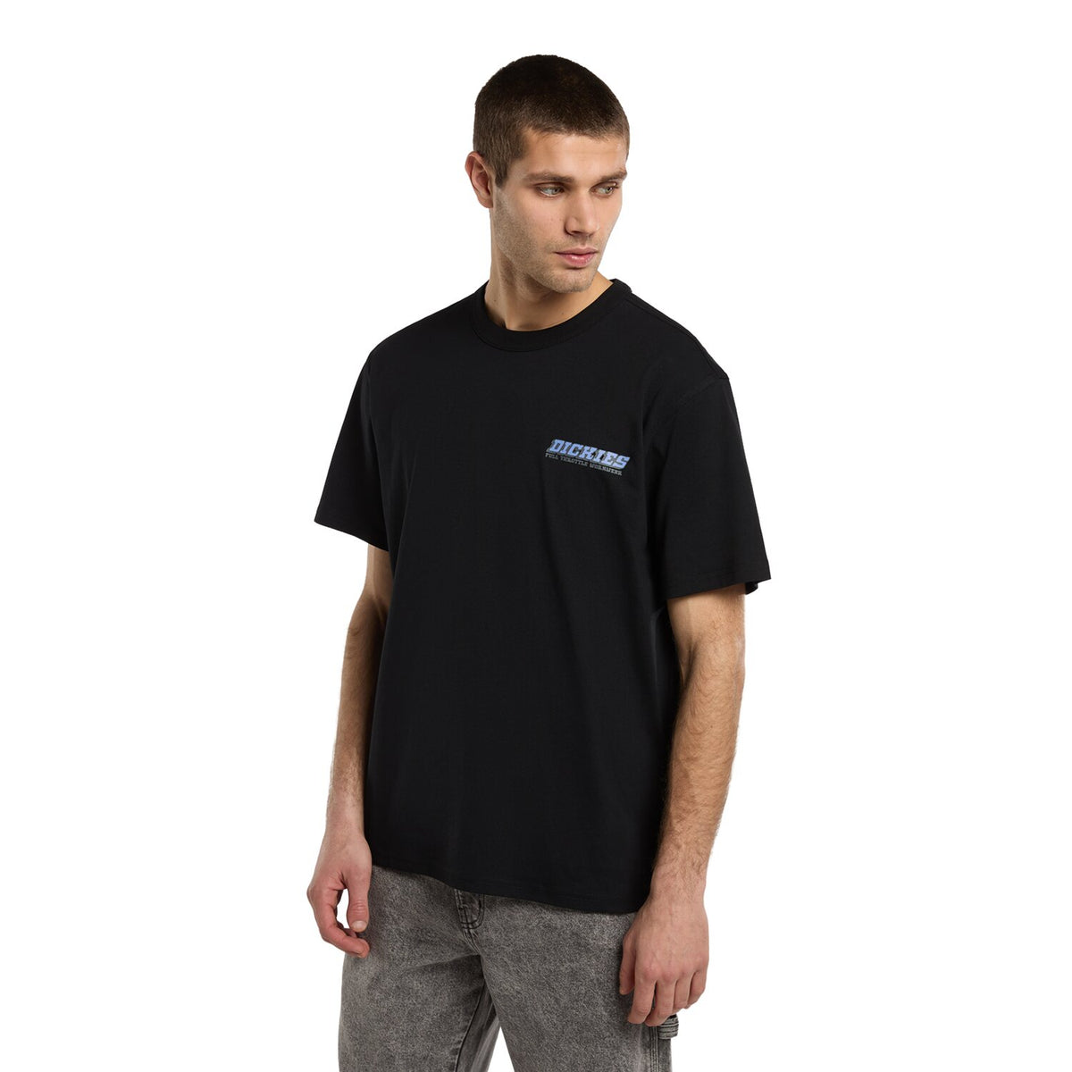 Dickies Lakeridge t-shirt black