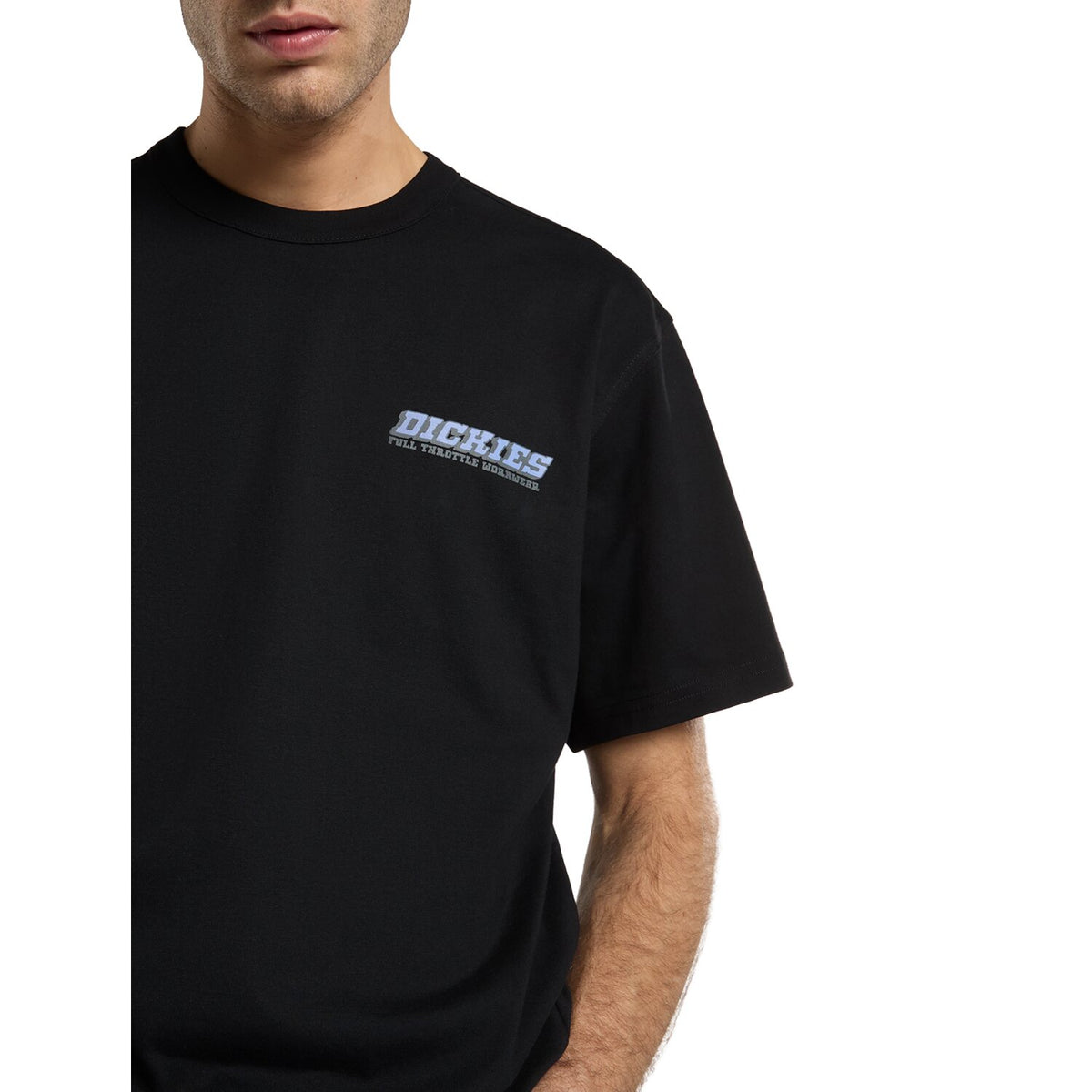 Dickies Lakeridge t-shirt black