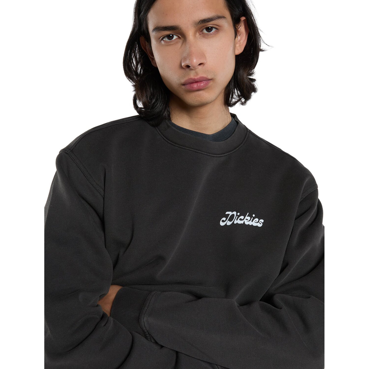 Dickies Cornville sweatshirt black