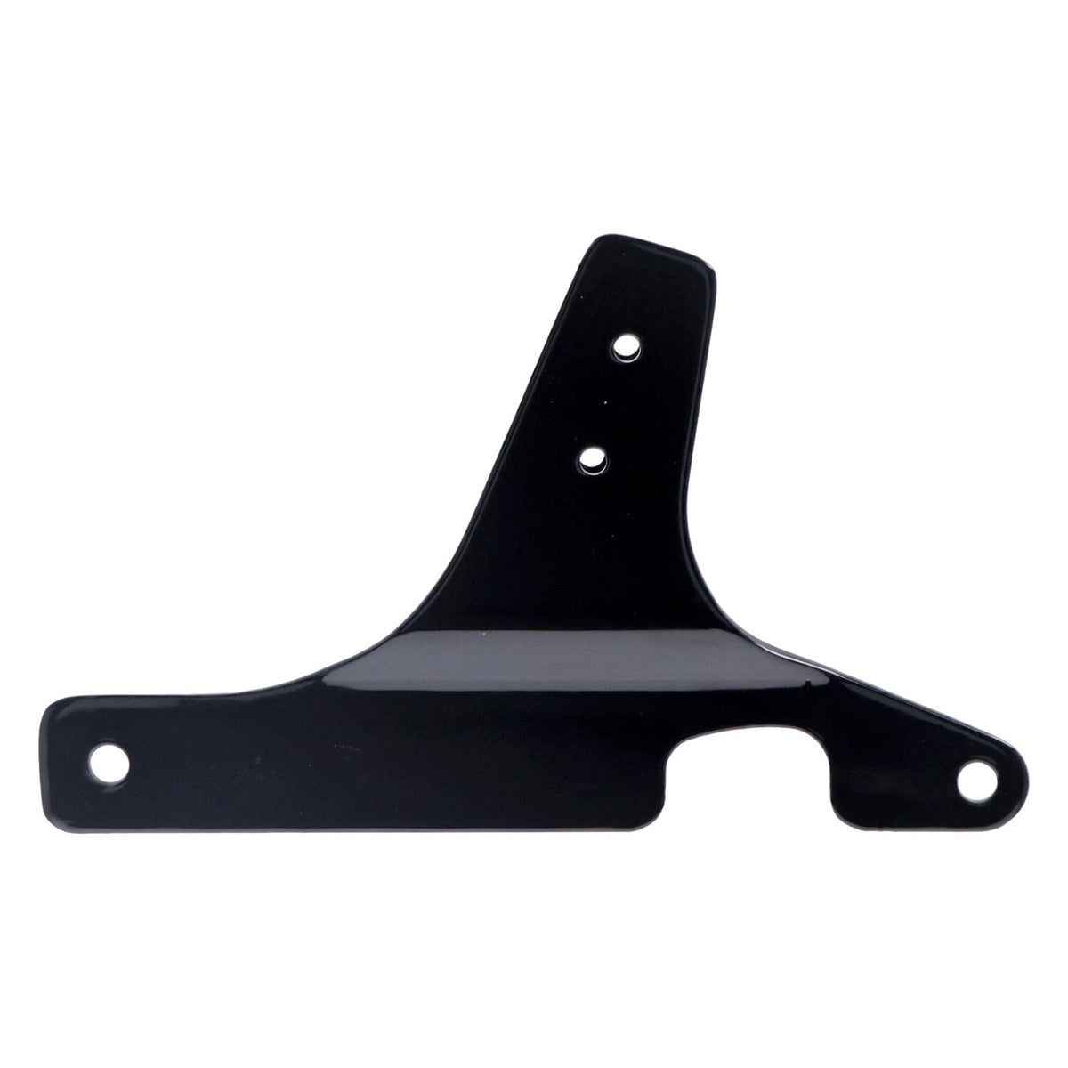 Sissybar side plates rigid mount