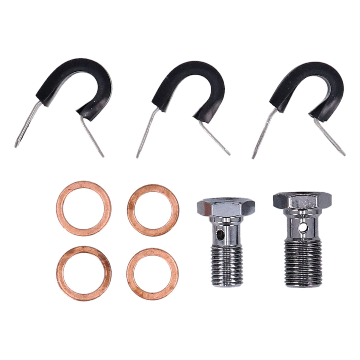 MCS by Goodridge brake line front, stainless clear coated