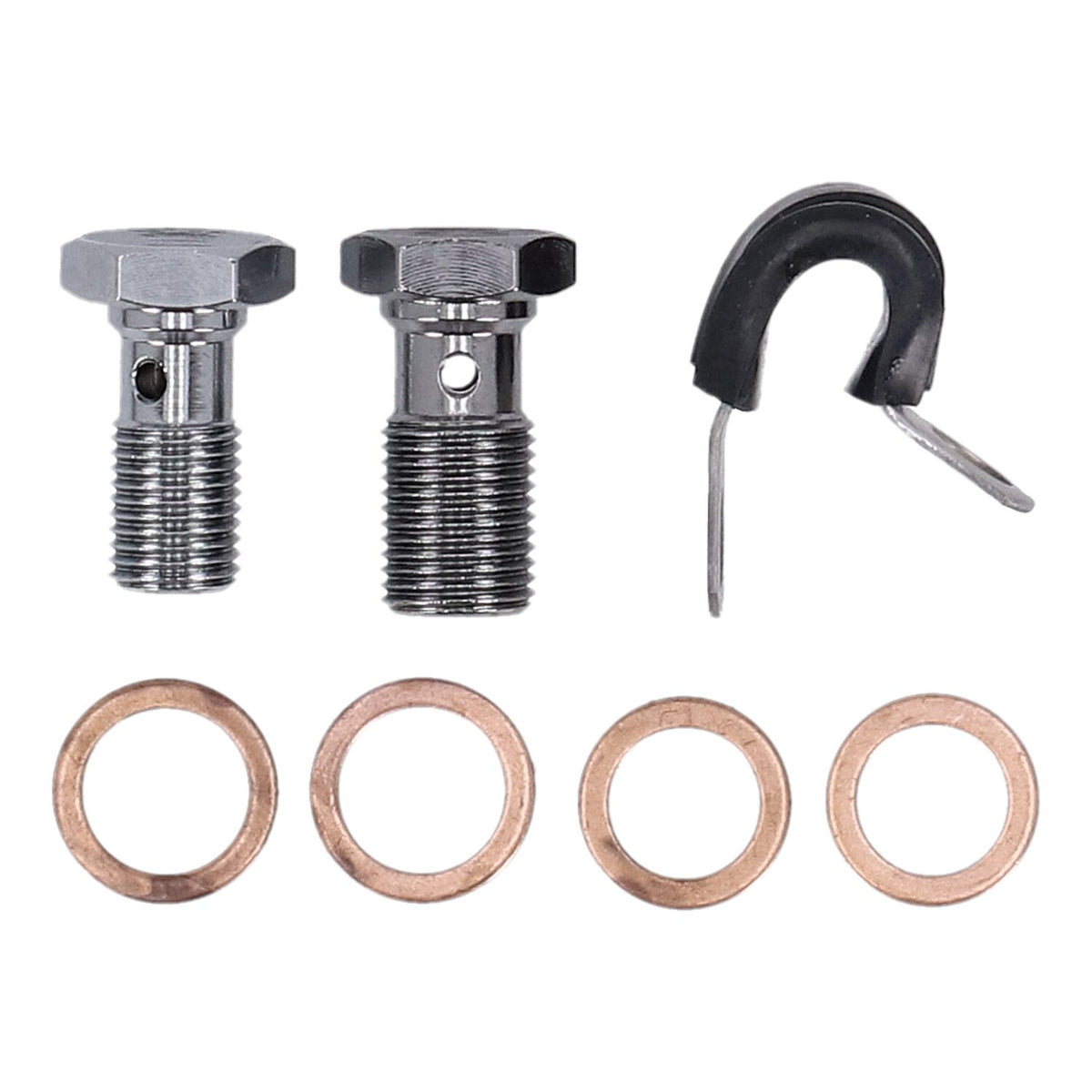 MCS by Goodridge brake line front, stainless clear coated