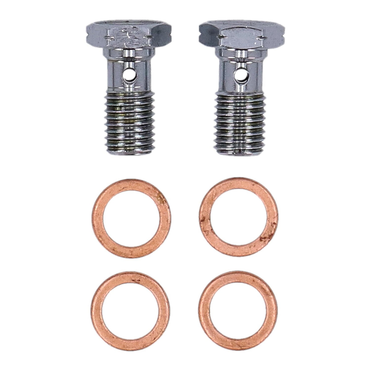 MCS by Goodridge brake line front, stainless clear coated