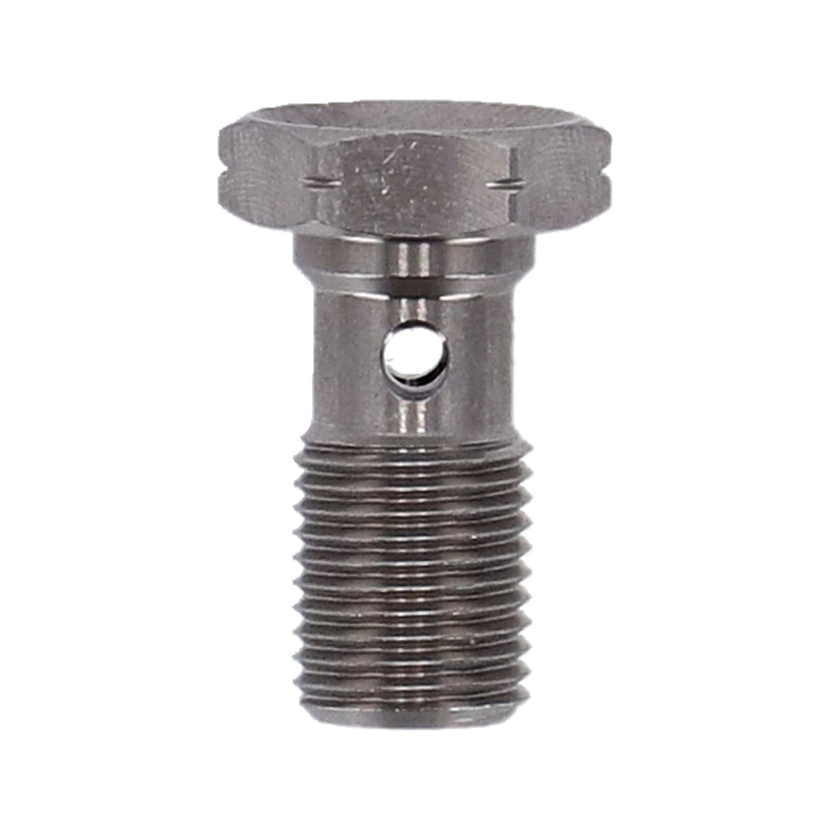 Goodridge banjo bolt, m10 x 1.00, ss