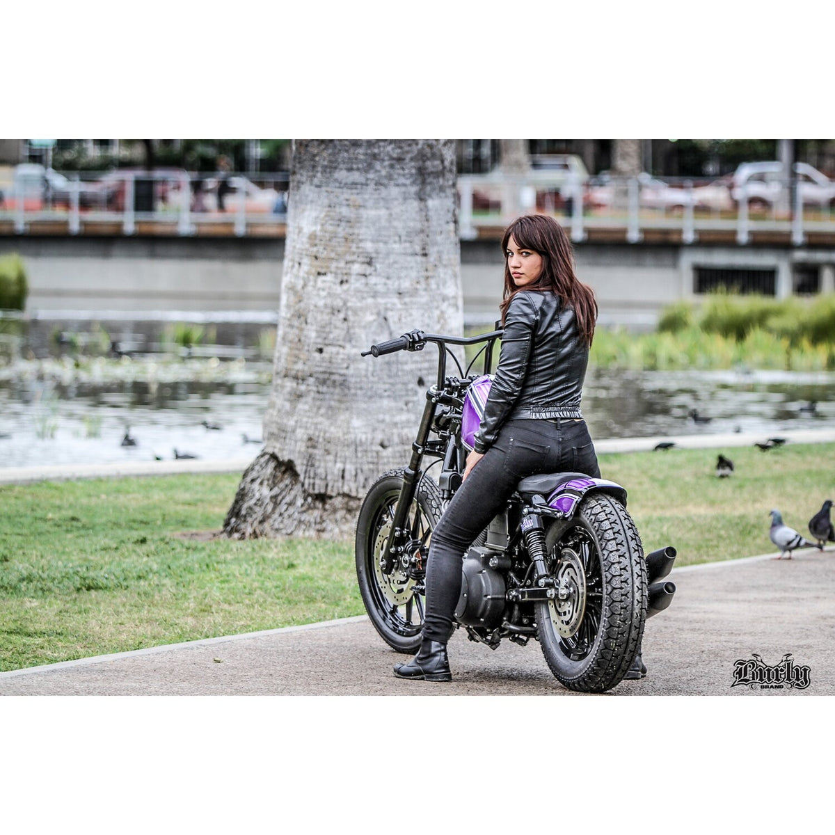 Burly, The Sid 1" handlebar 8" high. Black
