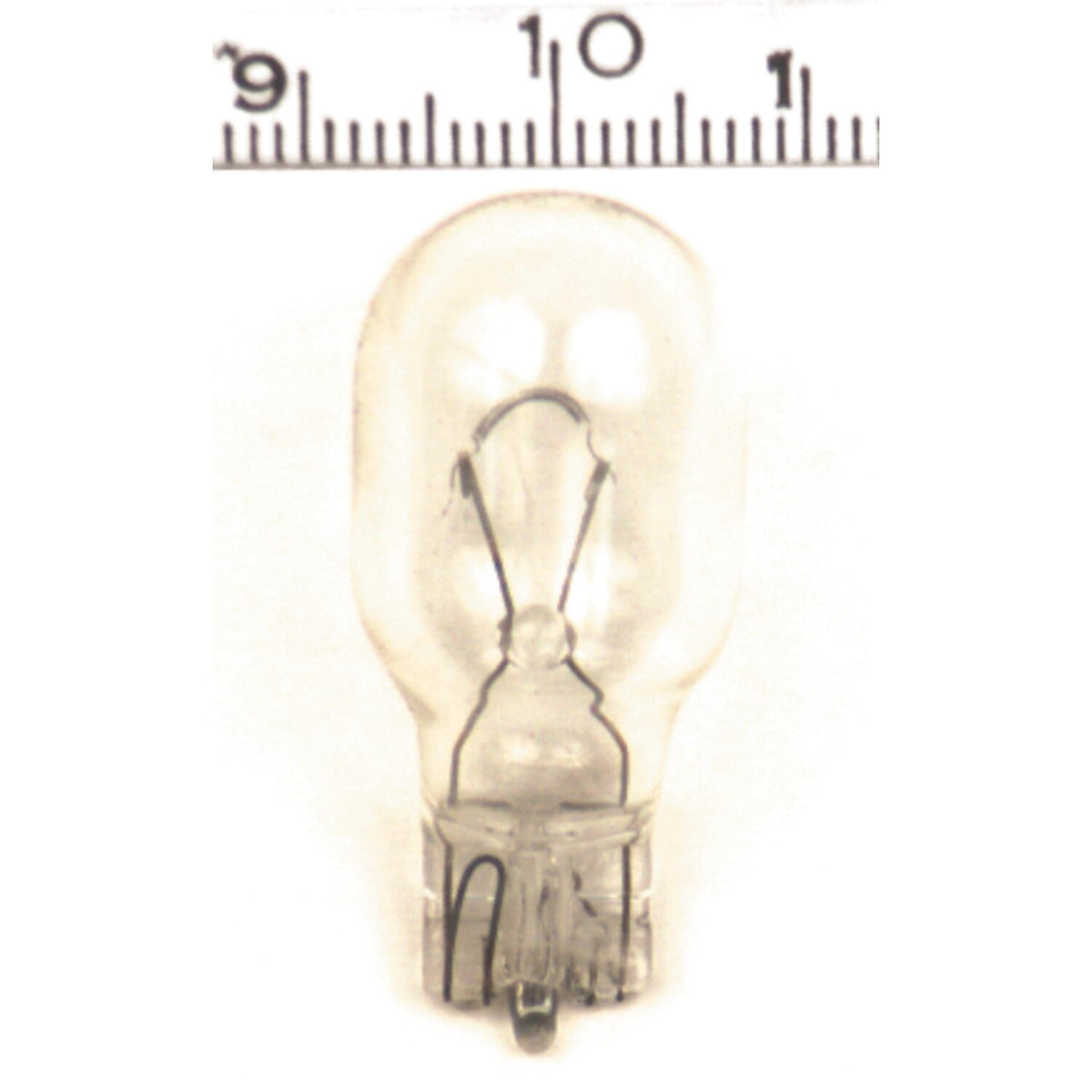 Single filament replacement light bulb, 12 volt / 21 watt