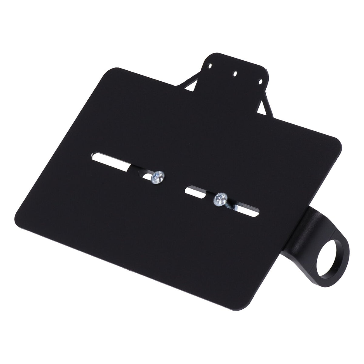 Westland Customs, side mount license plate bracket France