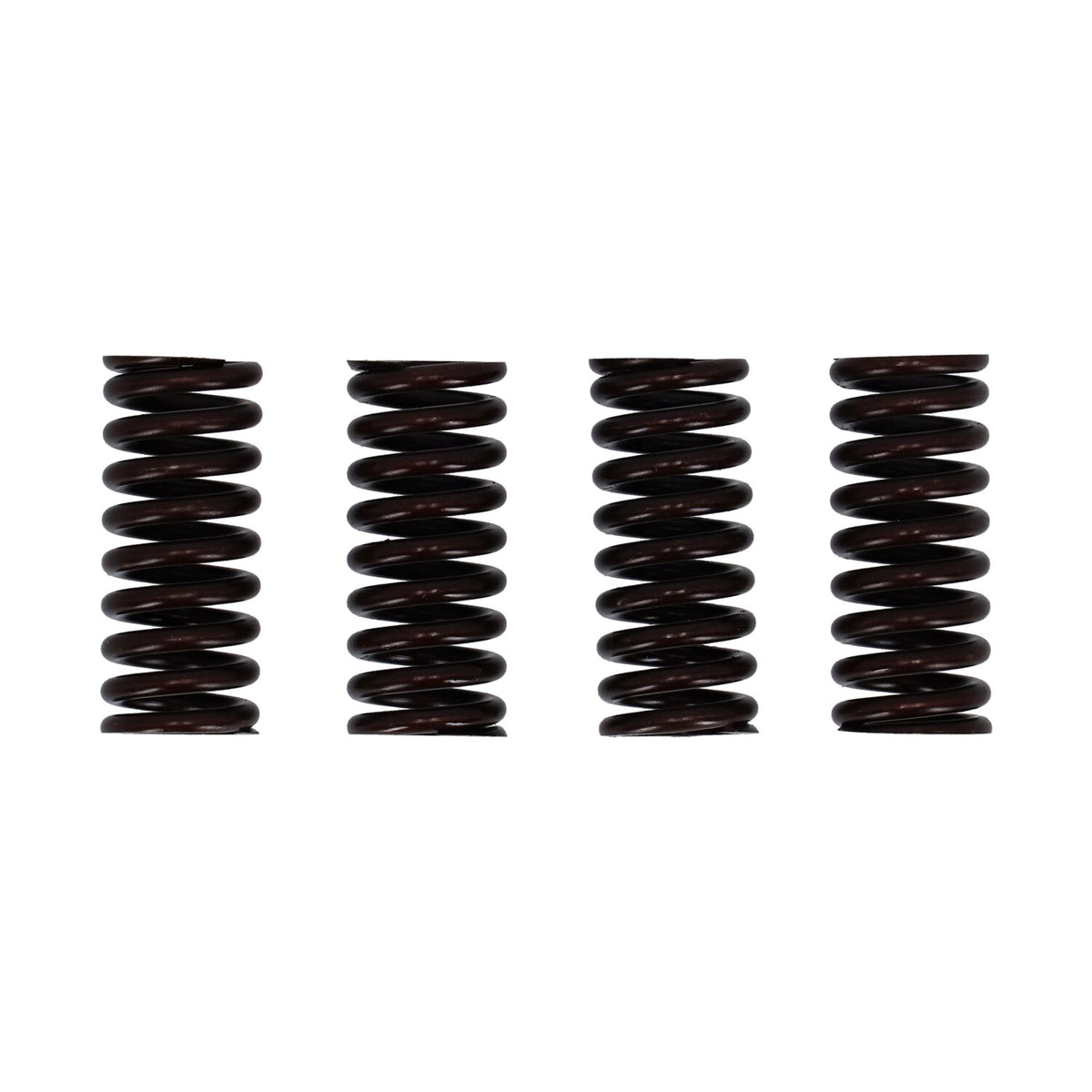Valve spring set