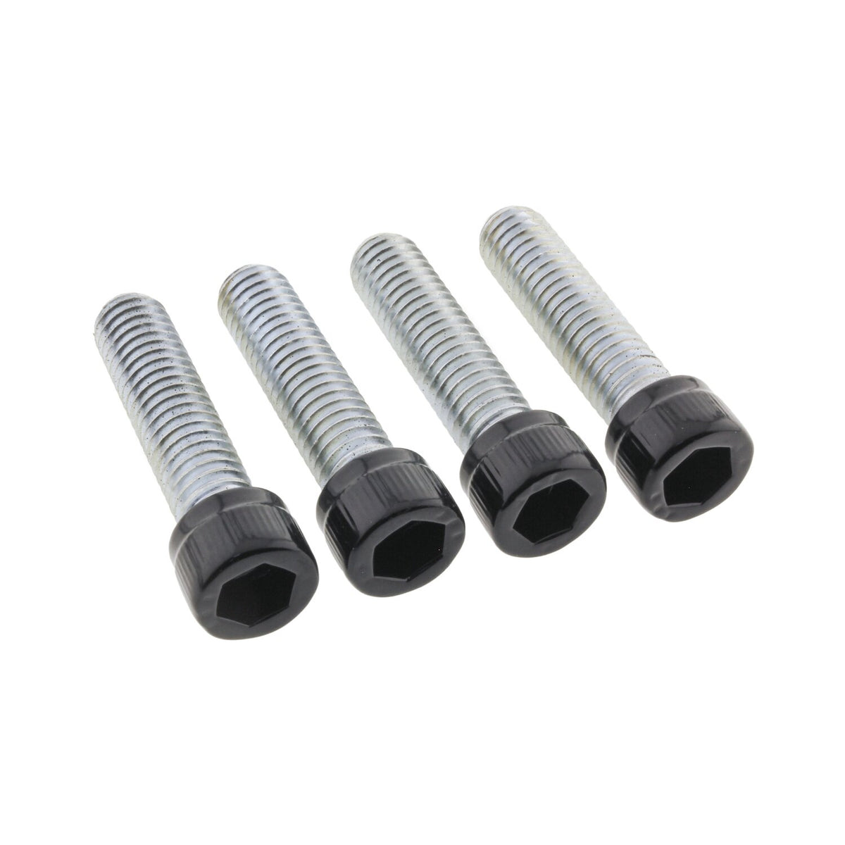 Screws4Bikes, bolt kit. Foot pegs rider