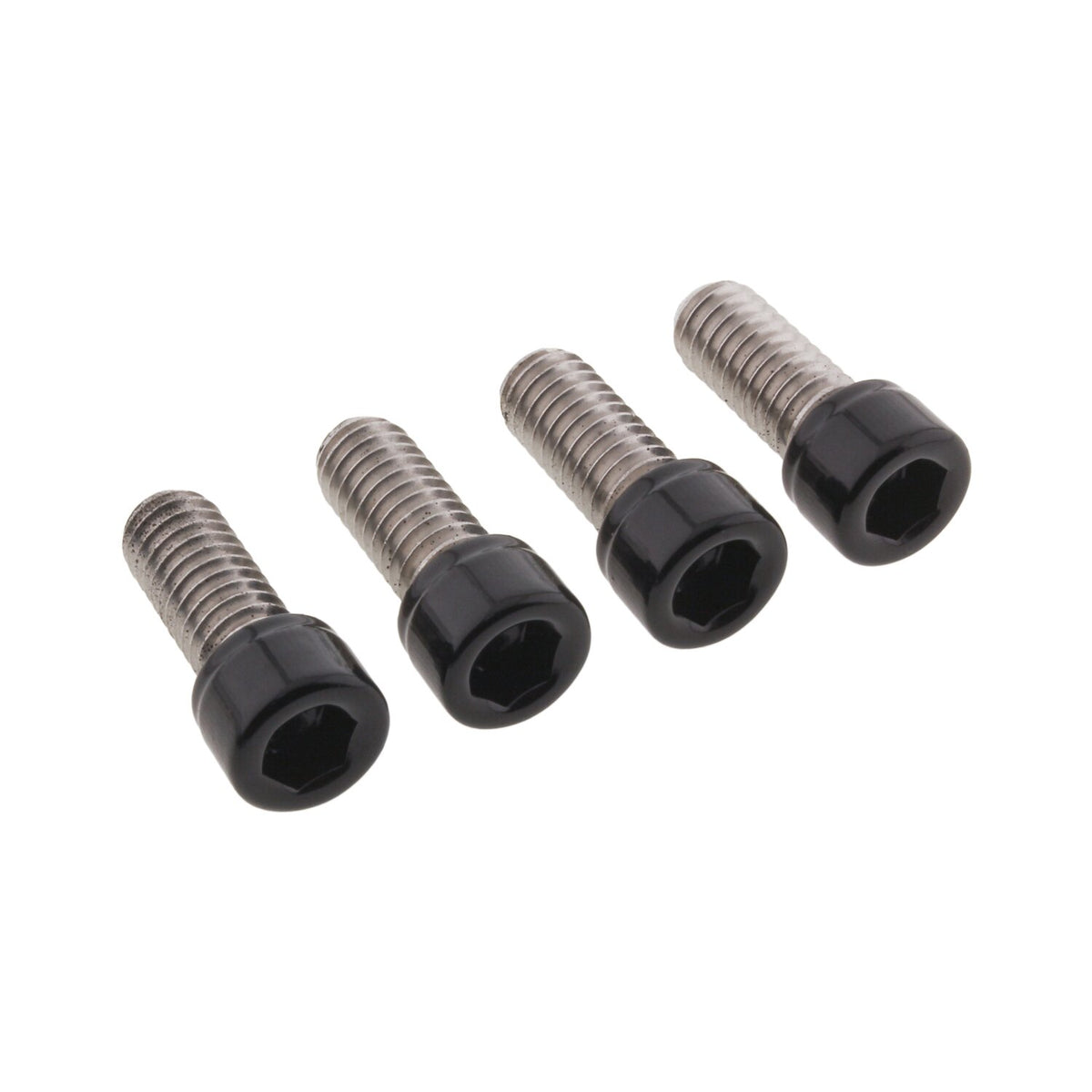 Screws4Bikes, bolt kit, front fender
