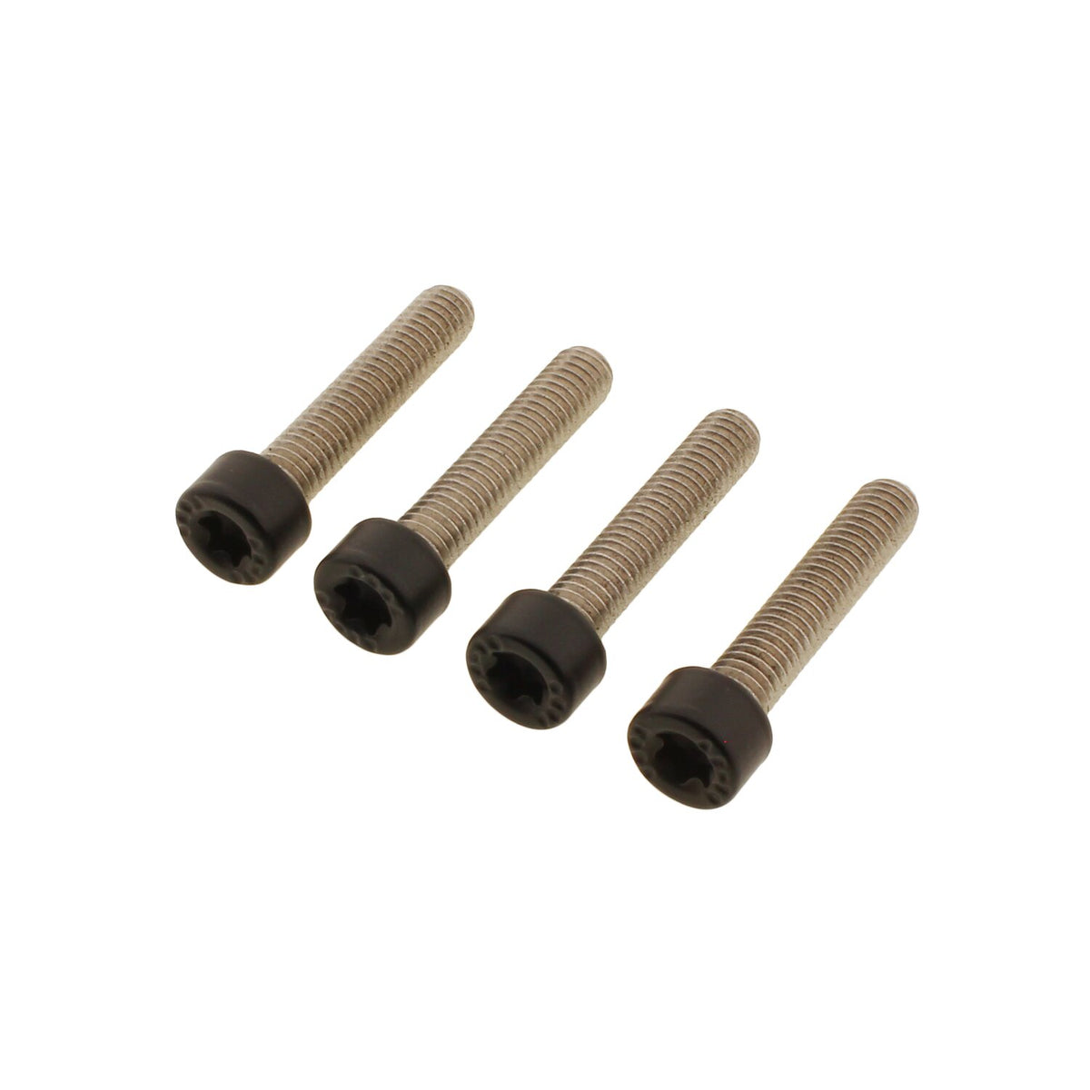 Screws4Bikes, bolt kit, front fender