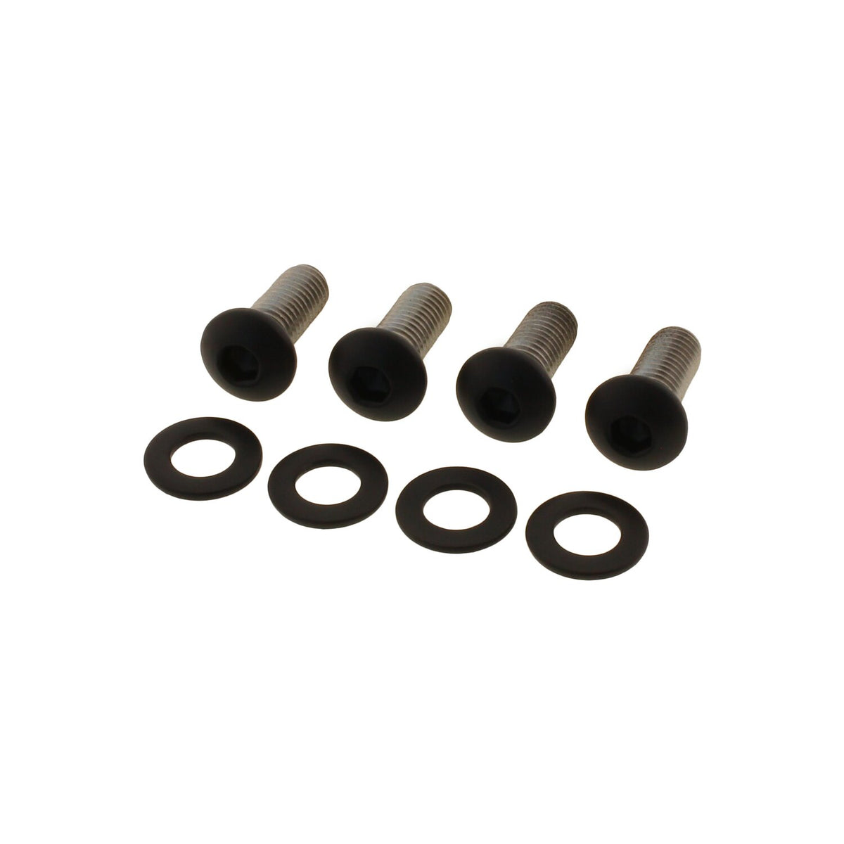 Screws4Bikes, bolt kit, fender struts