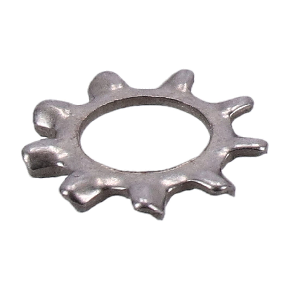 Ss ext. lockwasher, #6 - 25 pack