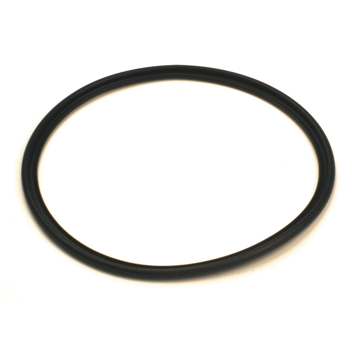 Rubber gasket, headlamp door