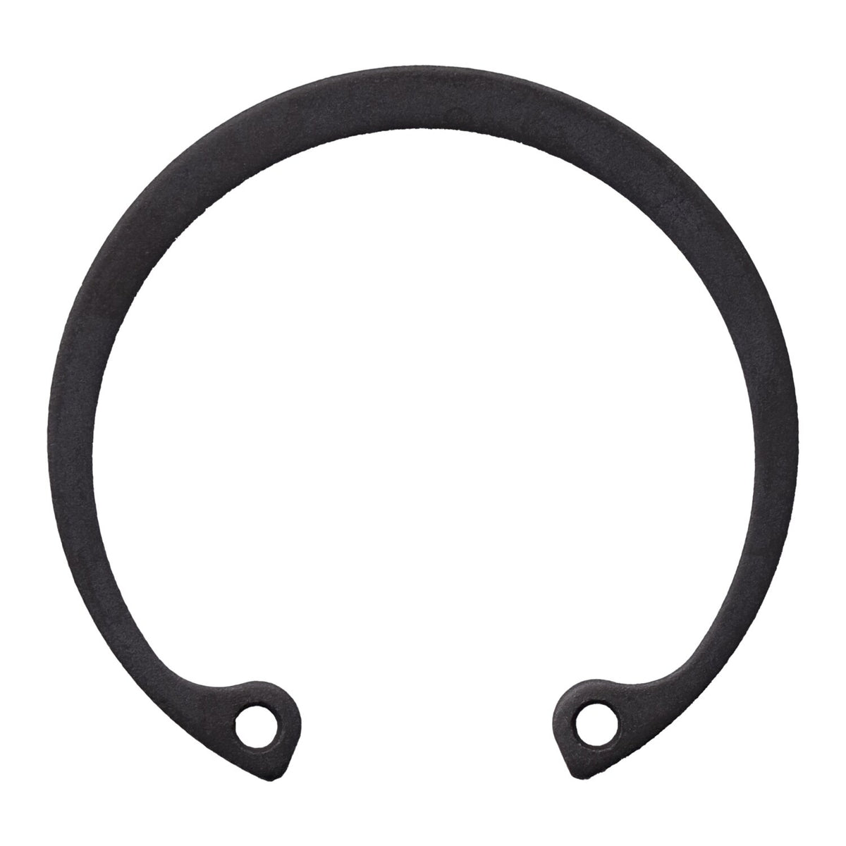 Retaining ring, generator bearing
