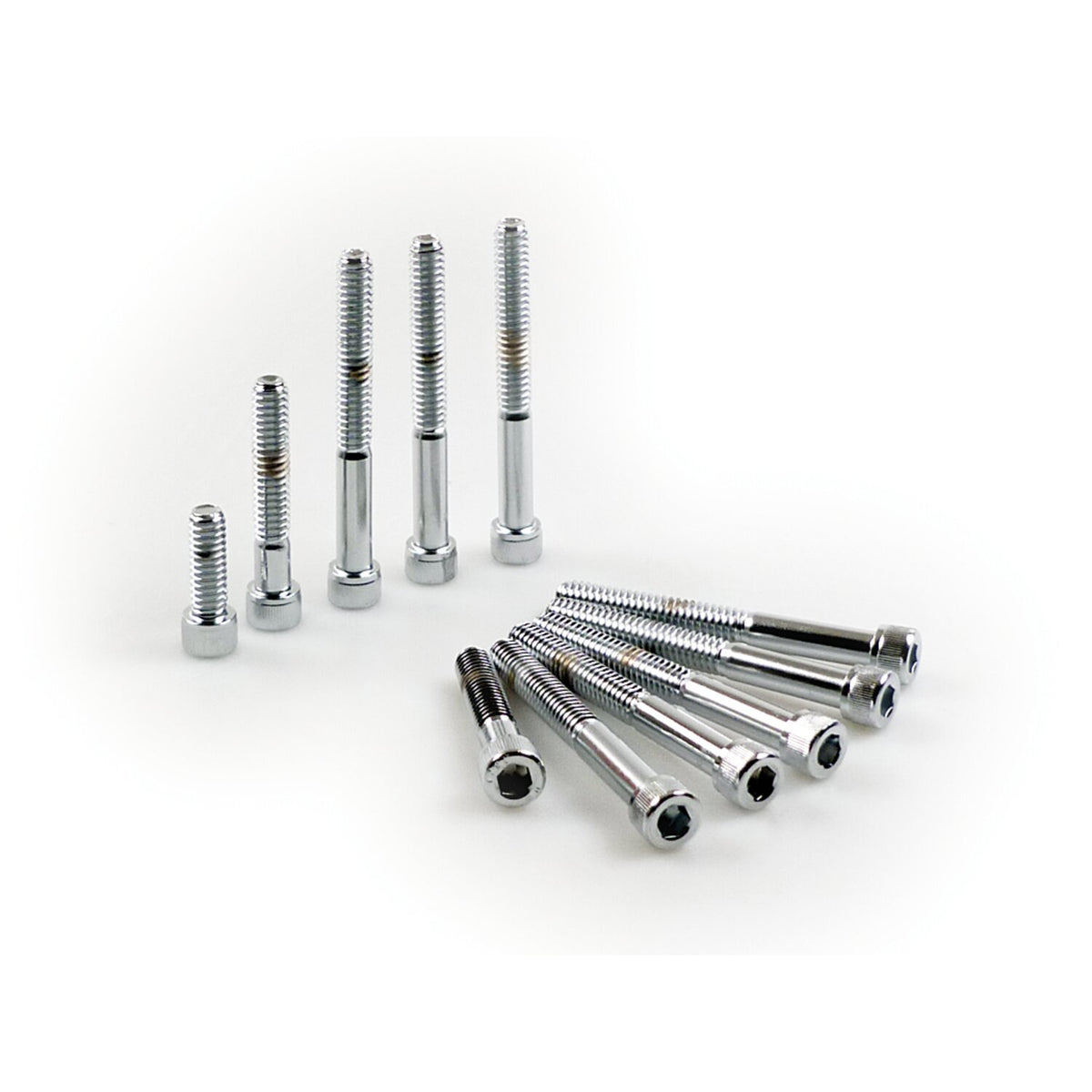 GW, primary cover mount kit chrome allen