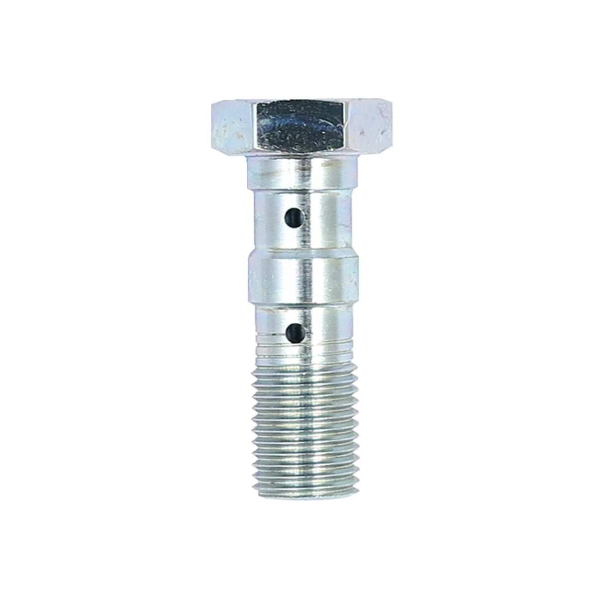 TRW double Banjo Bolt stainless steel M10x1.00 Brembo