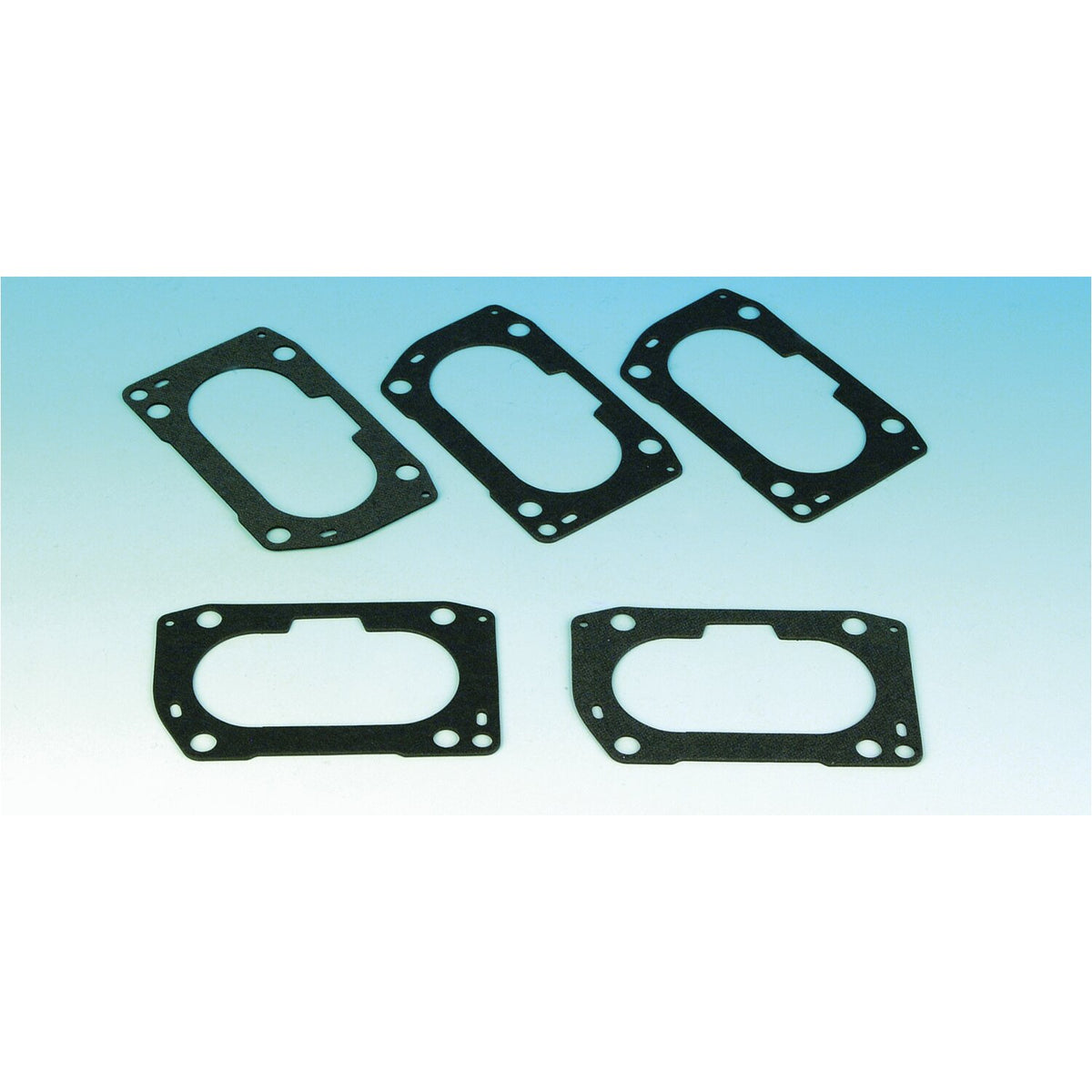 James, throttle body to air cleaner housing gasket