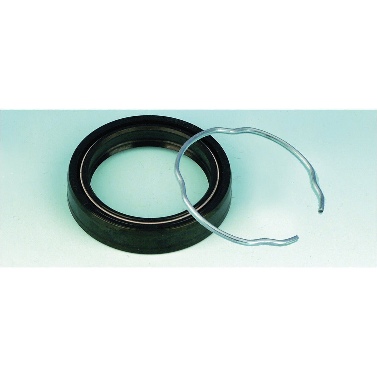 James, fork seal. 41mm