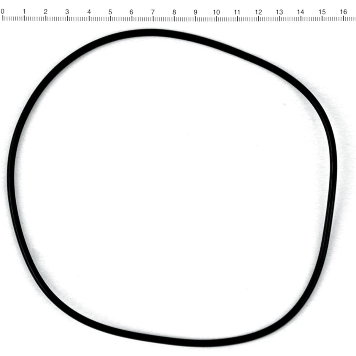 James, o-ring derby cover