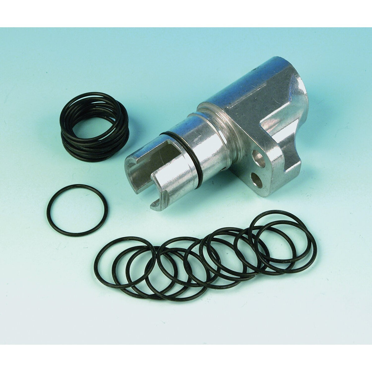 James, O-ring tappet guide. Lower
