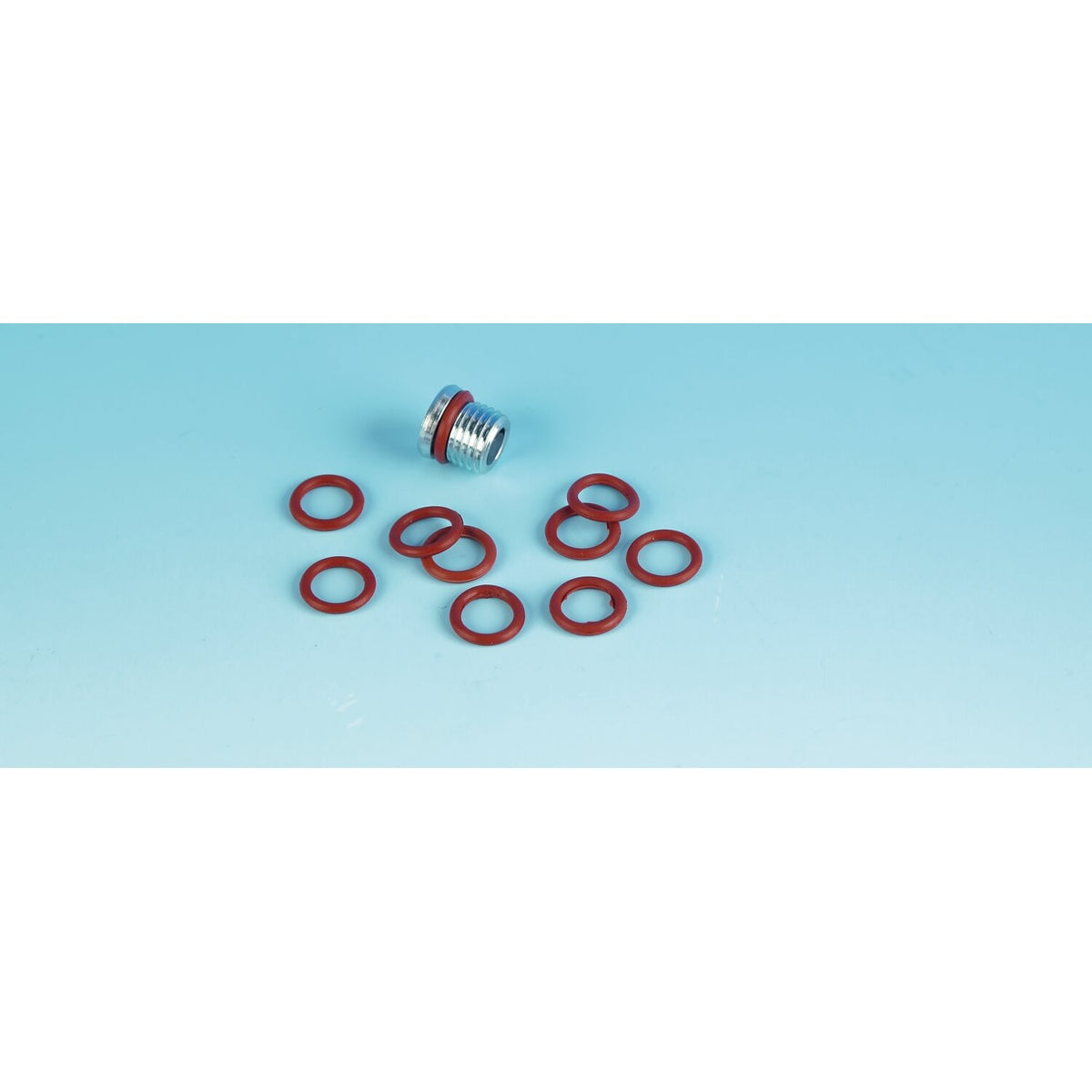 James, o-ring primary drain plug. Viton
