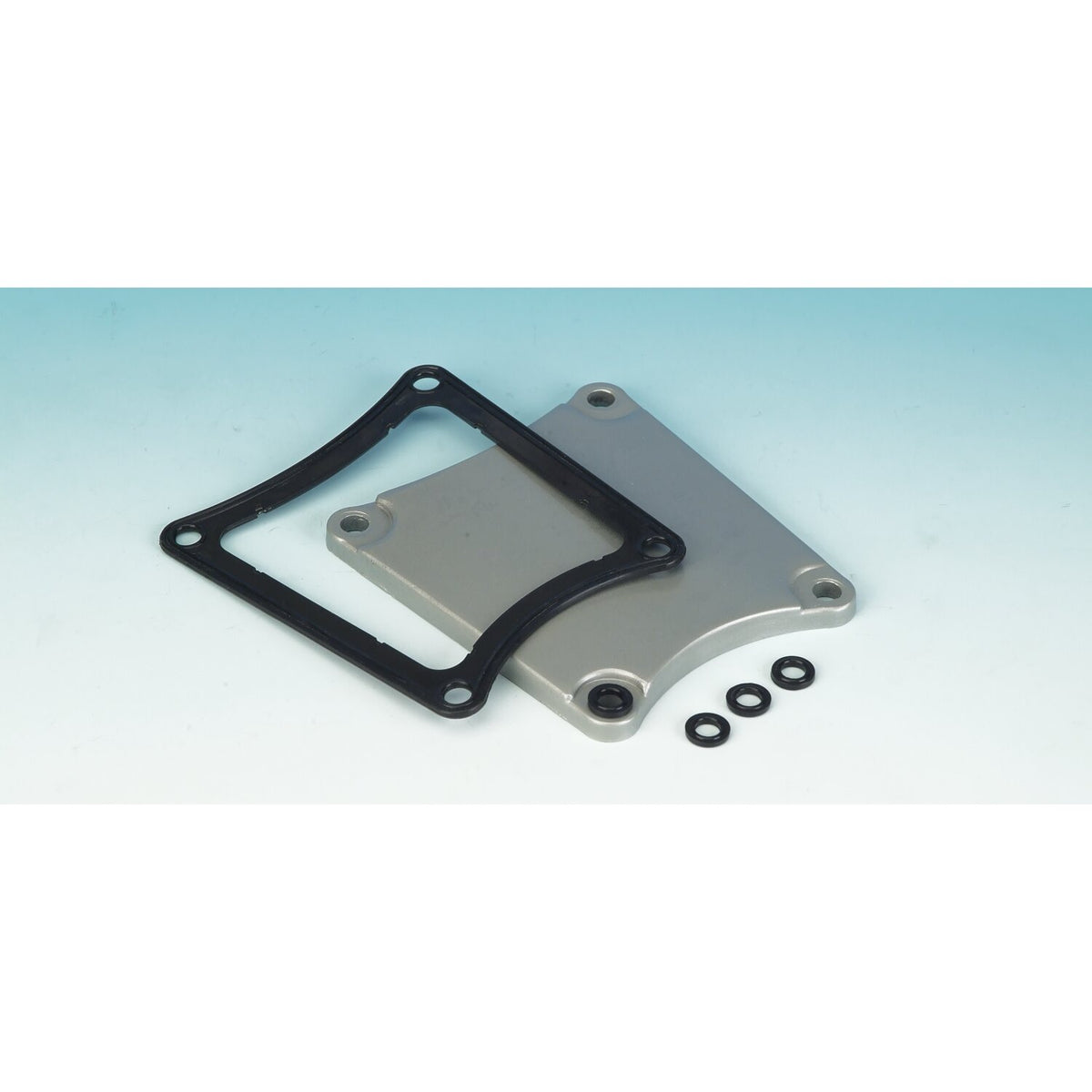 James, gasket inspection cover. RCM
