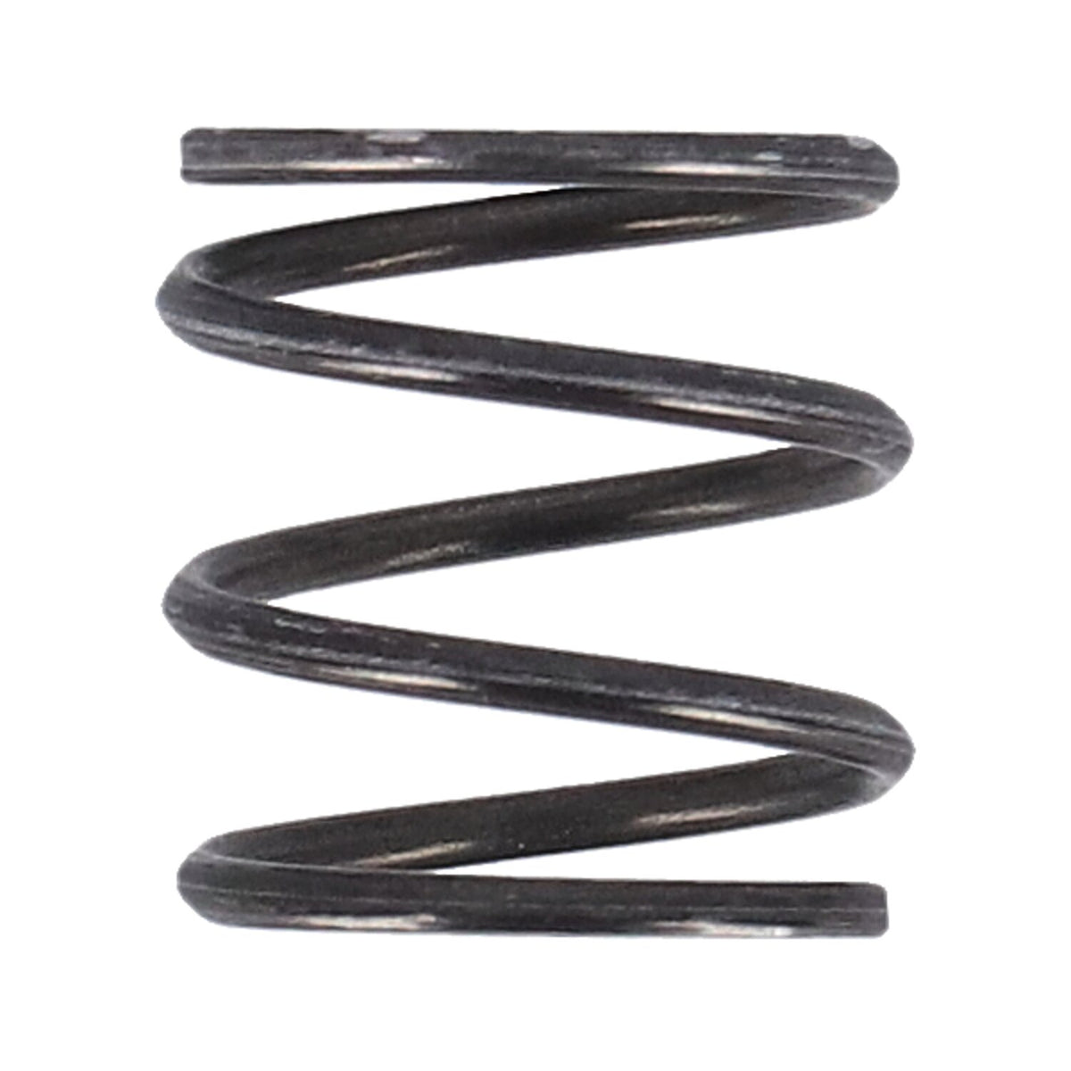 S&S spring, pushrod cover