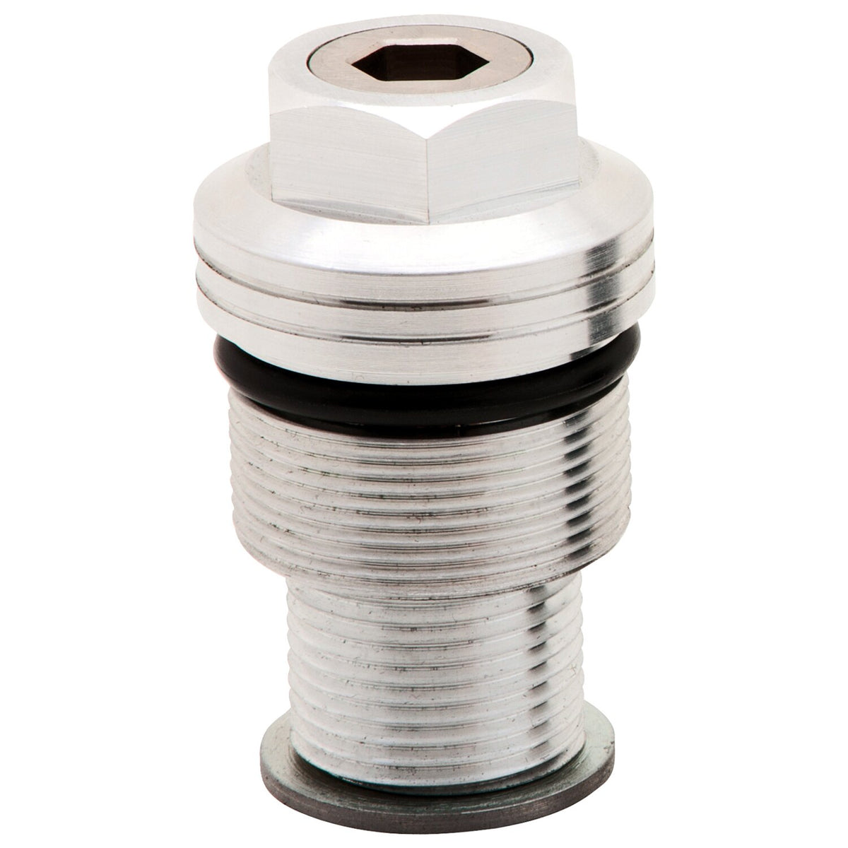 Burly, 39mm fork spring preload adjusters. Clear anodized