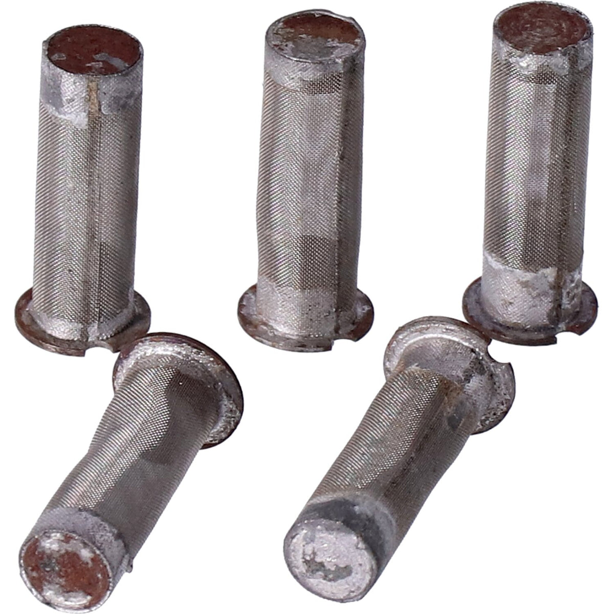 Crankcase tappet oil screen