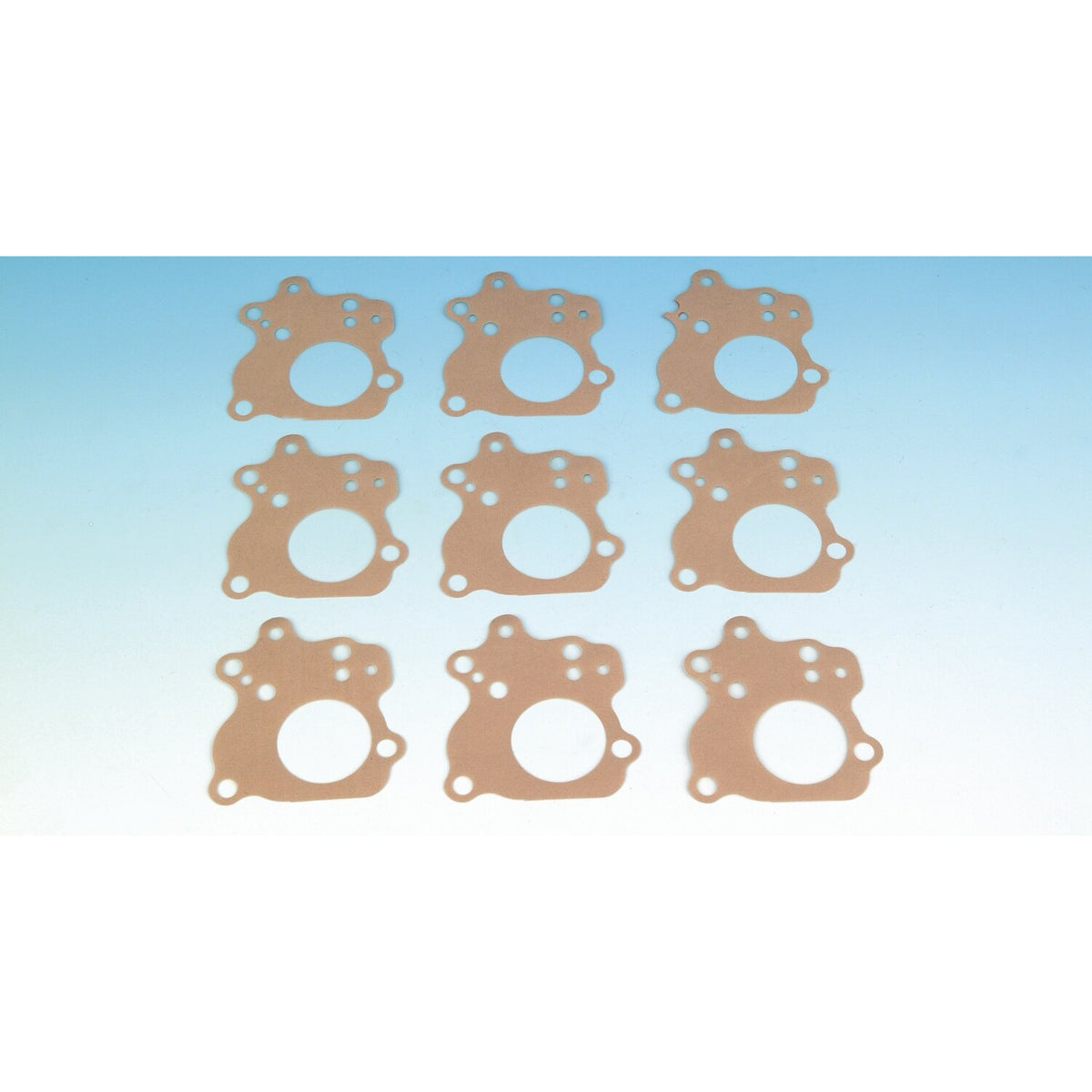 James, oil pump cover plate to body gasket. Paper