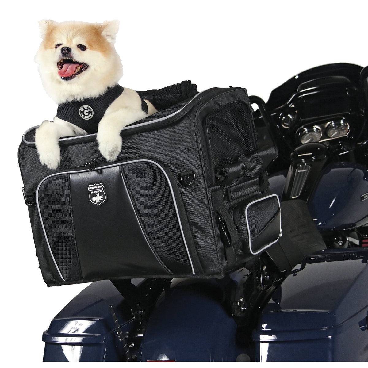 Nelson Rigg, Route 1 Rover pet carrier black