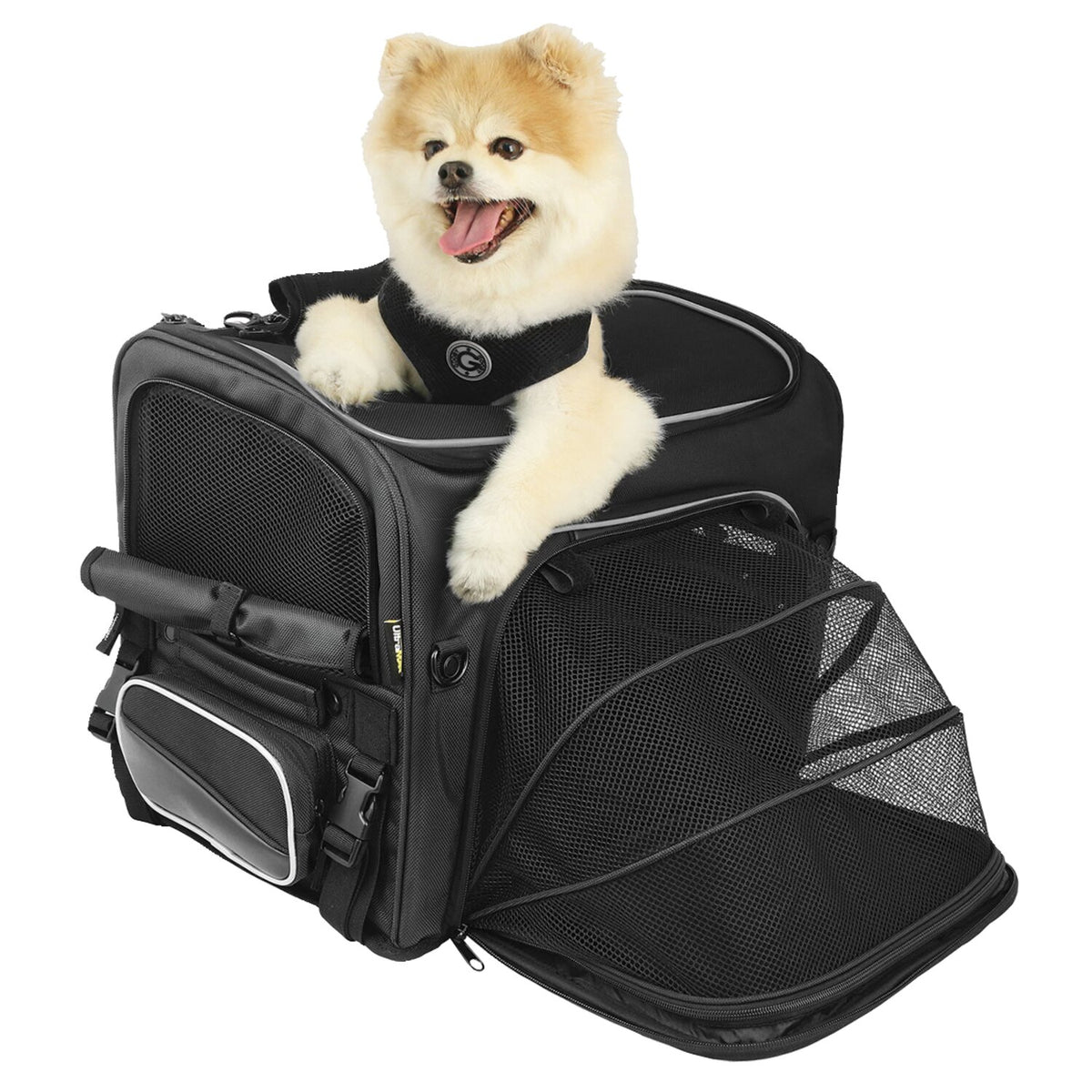 Nelson Rigg, Route 1 Rover pet carrier black